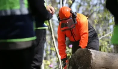 Akçakoca’da Orman İşletme Şefliği Eğitim Tatbikatı Gerçekleşti